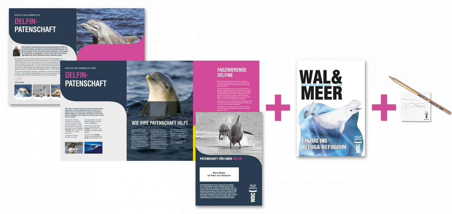 Ansicht von Flyern und Karten des WDC